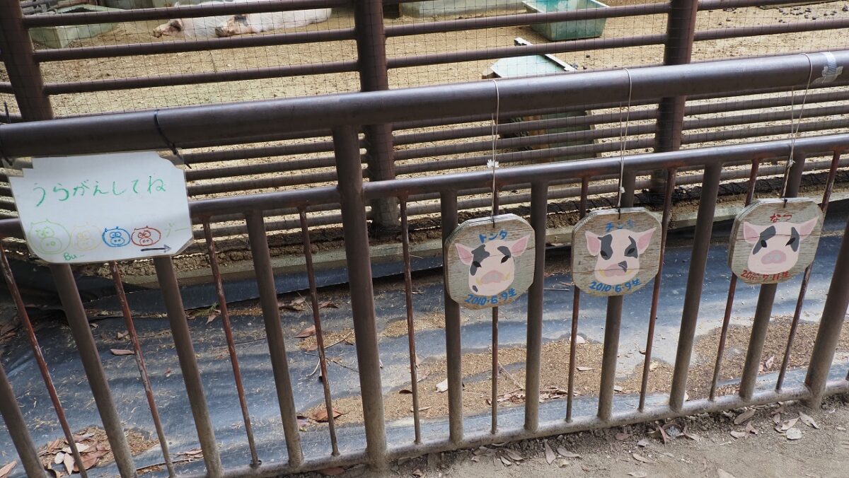ミニブタの似顔絵