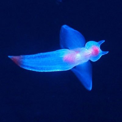 aquarium_photosのアバター