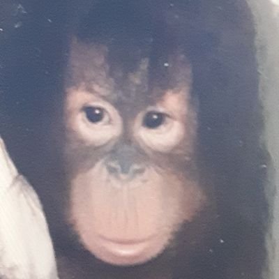 ウナムゲンのアバター