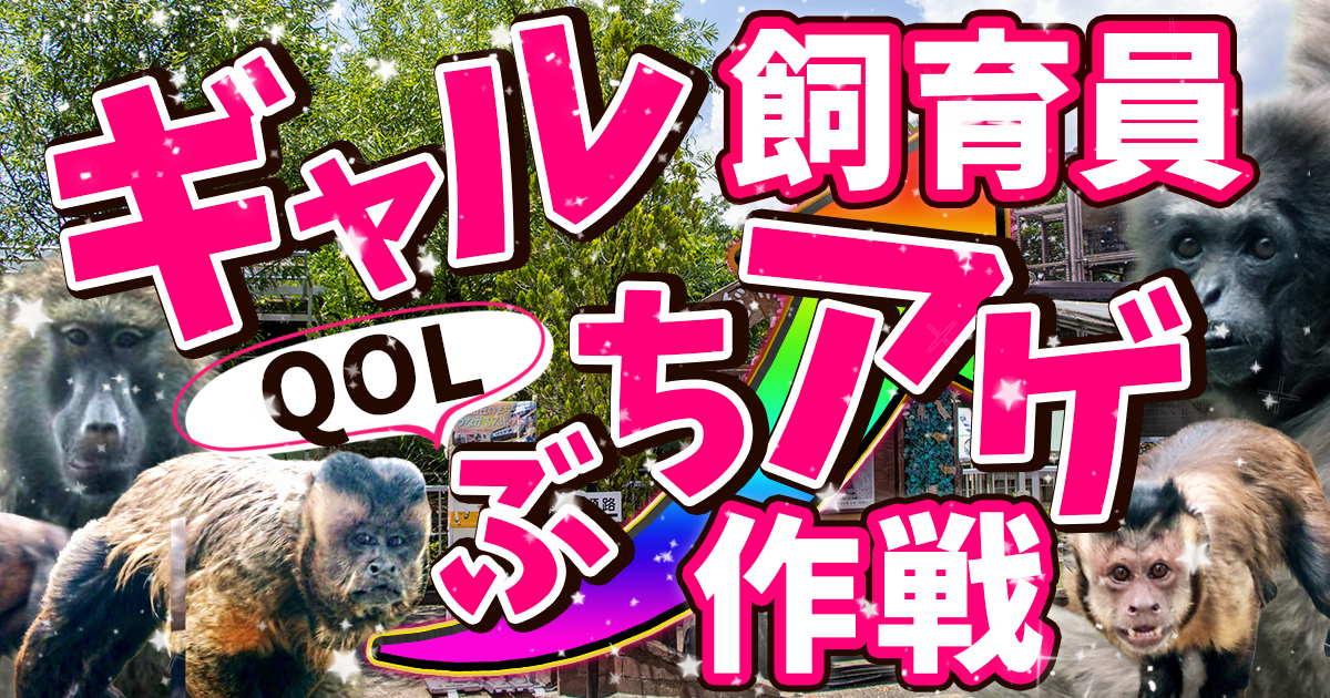 小さな動物園の大きな挑戦 | ZooPortal