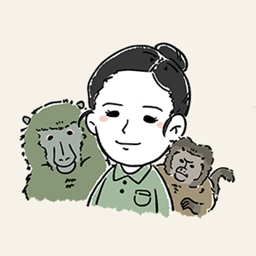 かとうのアバター