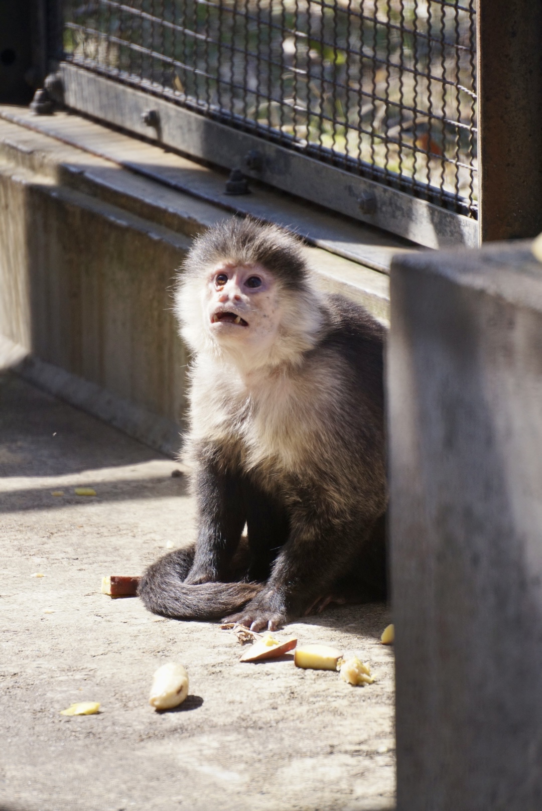 順位は低い♀エディ