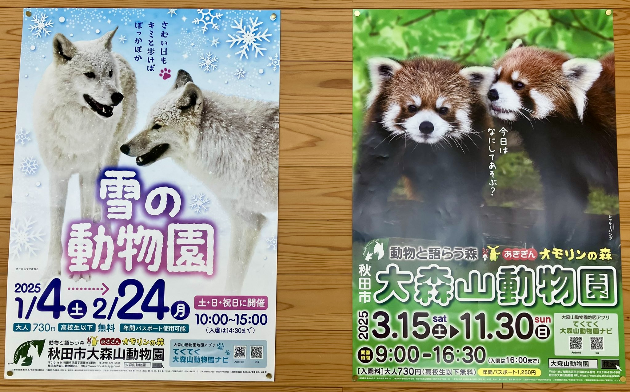 ポスター 2025
