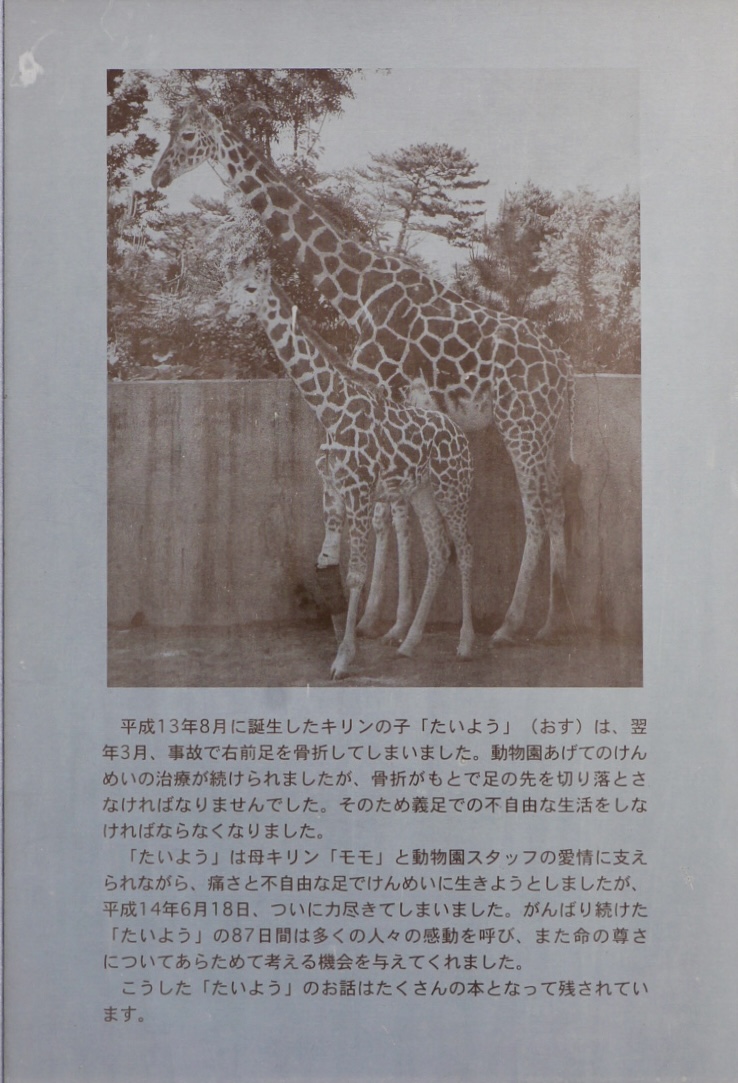 「たいよう」について(掲示)