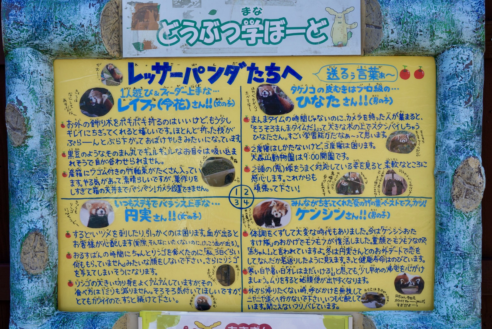 どうぶつ学ぼーど(レッサーパンダ)