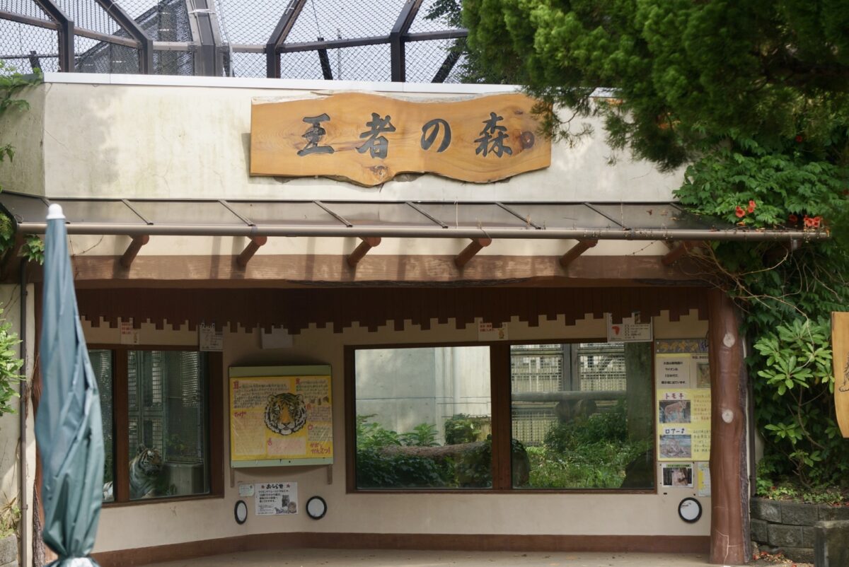 王者の森(トラ・ライオン側)